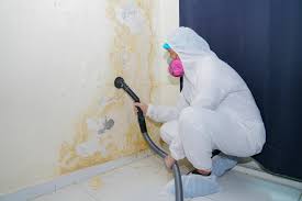 Best Commercial Mold Inspection in Endicott, NY